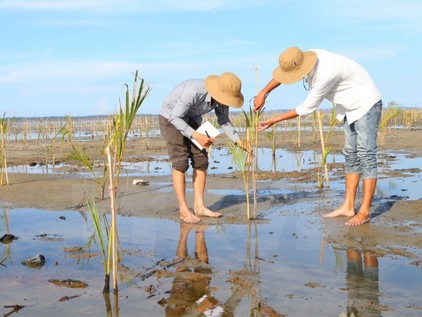 Vietnam asserts role in ASEAN cooperation in environment - ảnh 1